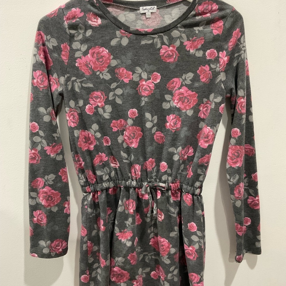 Splendid Gray and Pink Floral Knit girl’s dress